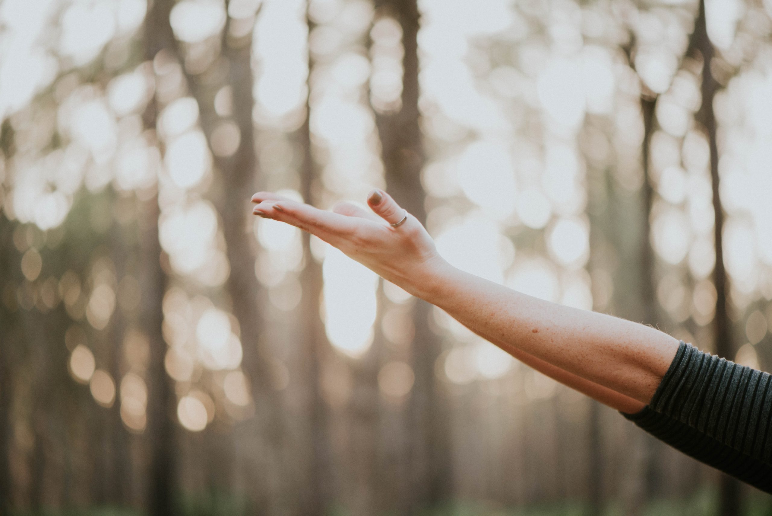 Dismas Home of NH Wellness  includes opening arms
