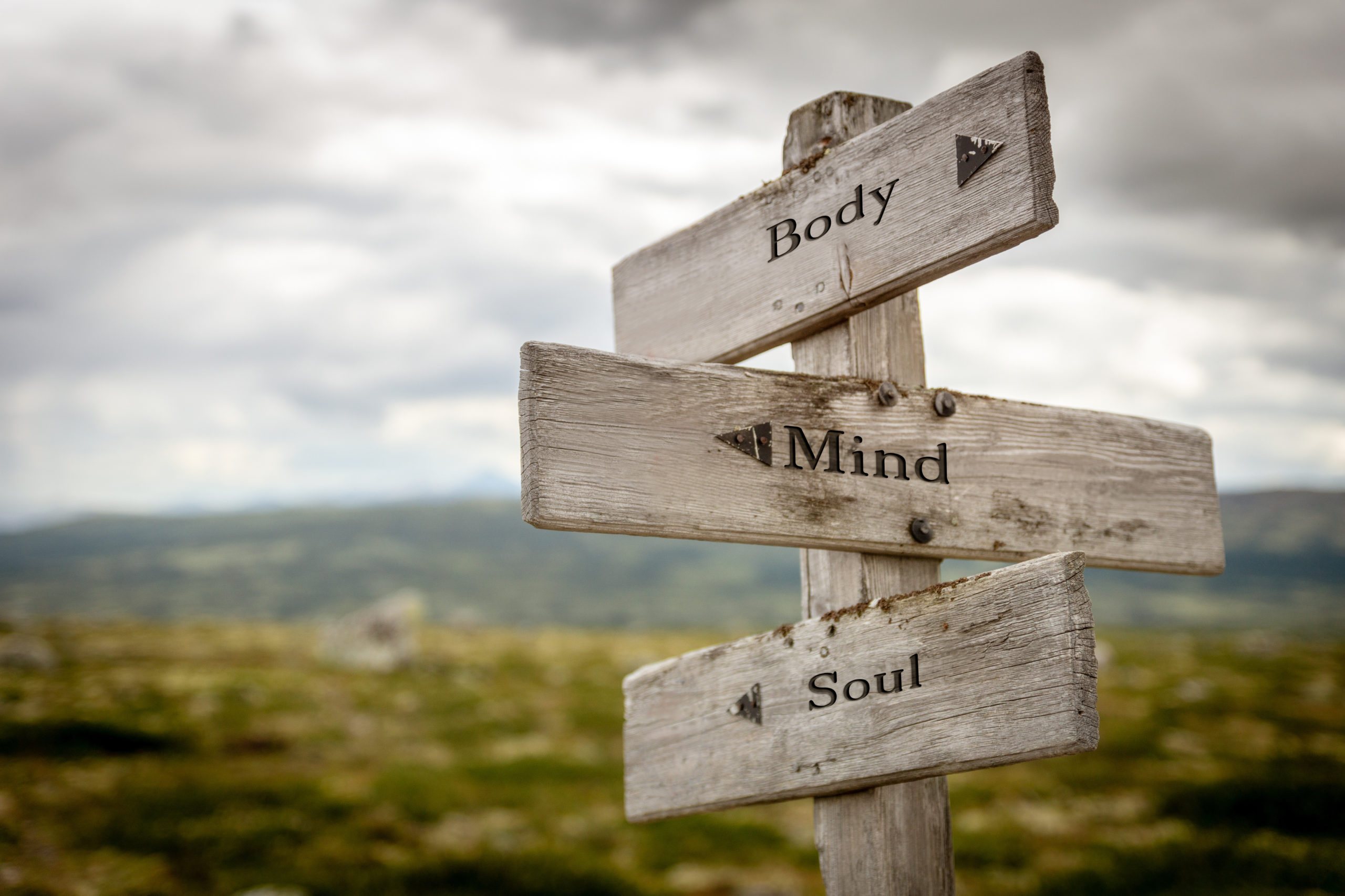 body mind soul text engraved on old wooden signpost outdoors in
